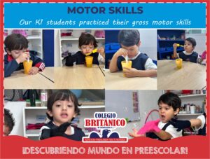 Motor skills